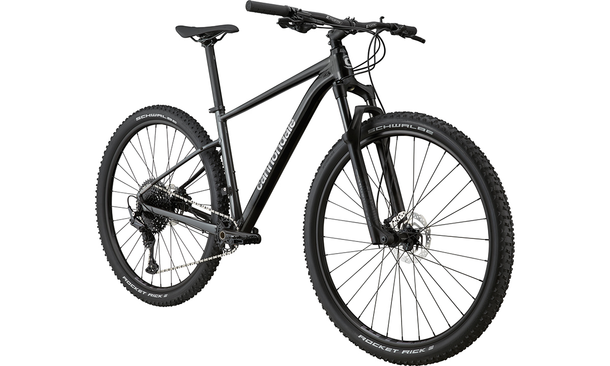 Фотография Велосипед Cannondale TRAIL SL 3 29" 2021, размер М, Черно-серый